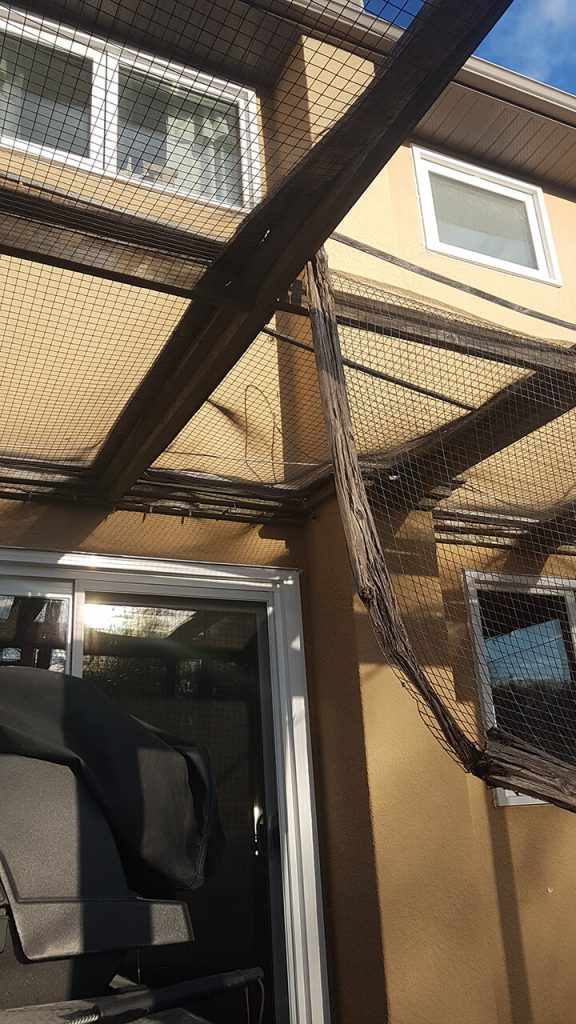 Campbell Exterior Renovation - Exterior Renovations Winnipeg - All Canadian Renovations Ltd.