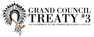 Great Council Treaty No.3