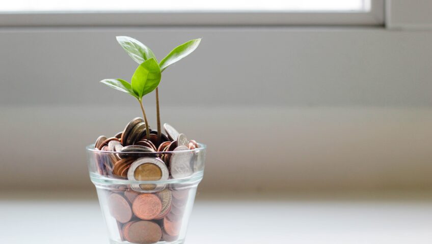 Plants growing out of coins