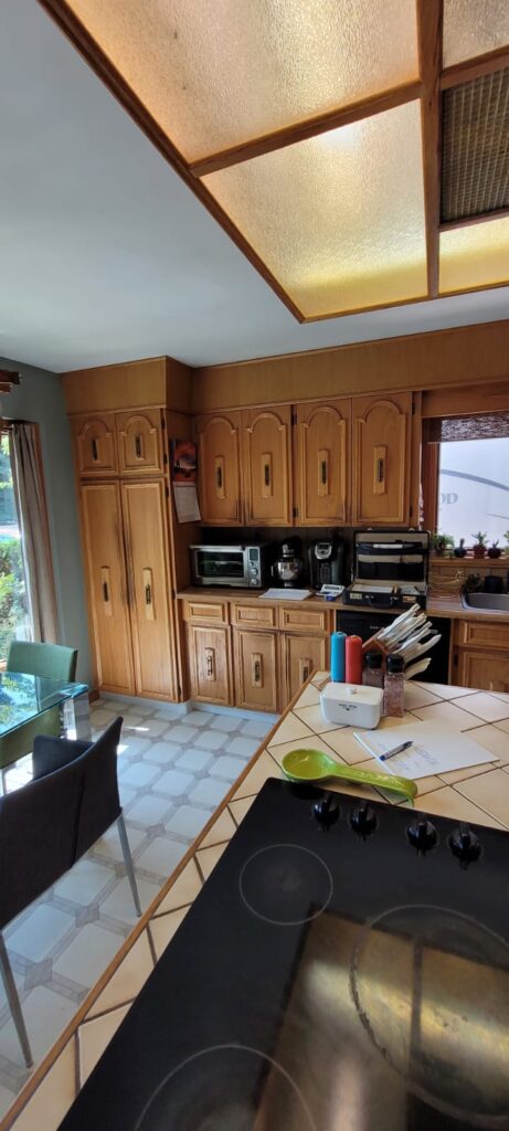 Terrance Kitchen Renovation - Before