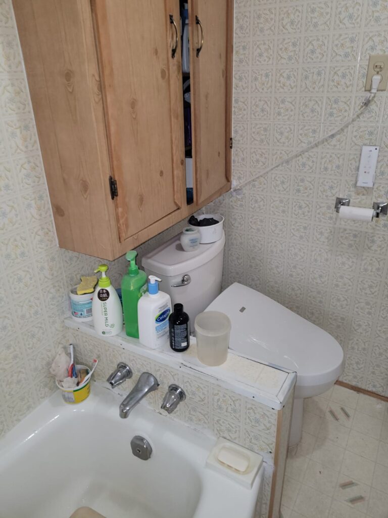 Garfield Bathroom Renovation - Before