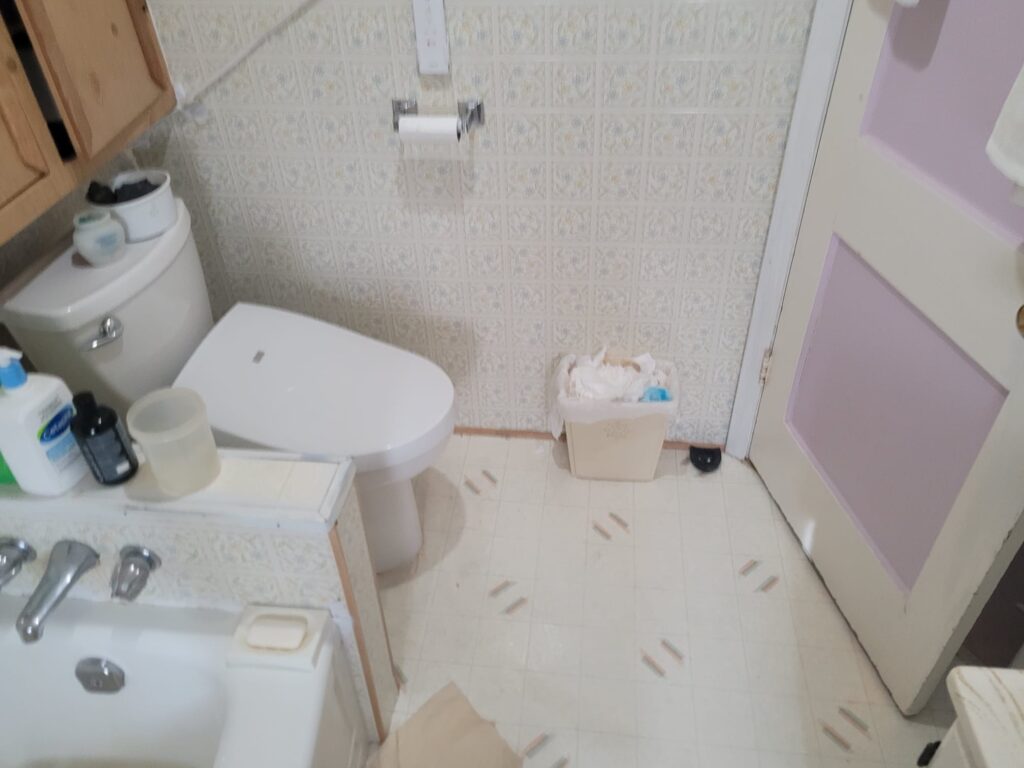 Garfield Bathroom Renovation - Before