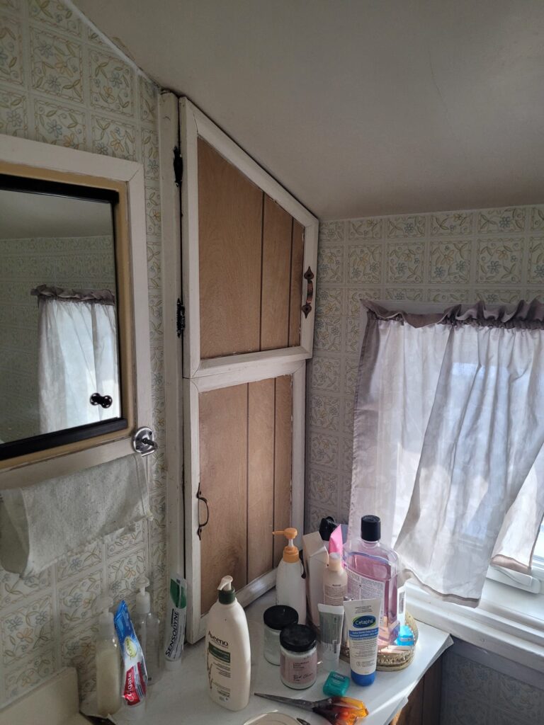Garfield Bathroom Renovation - Before