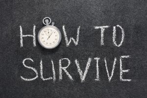 The Home Renovation Survival Guide - All Canadian Renovations Ltd. - Basement Renovations Winnipeg