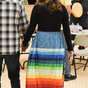 beautiful colourful wnhac traditional skirt